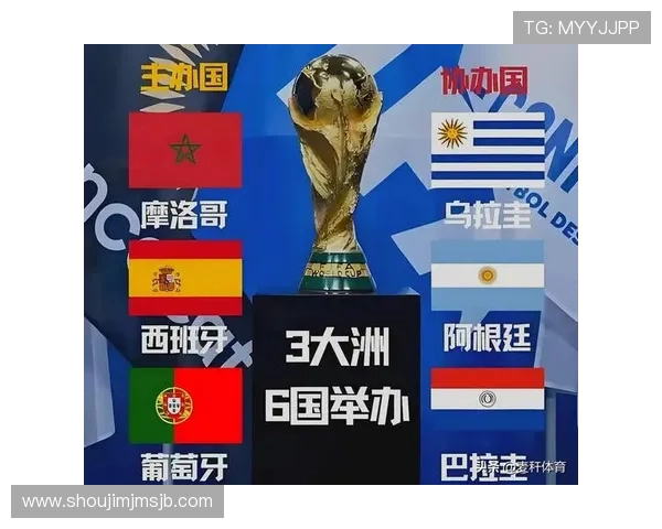 不同大洲在足球世界杯中的名额分配原则及其对比赛公平性的影响分析